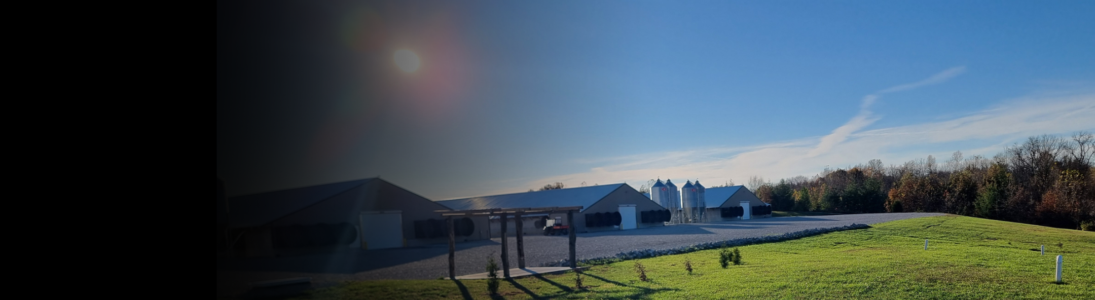 Interview with US Company Farbest Food Inc.