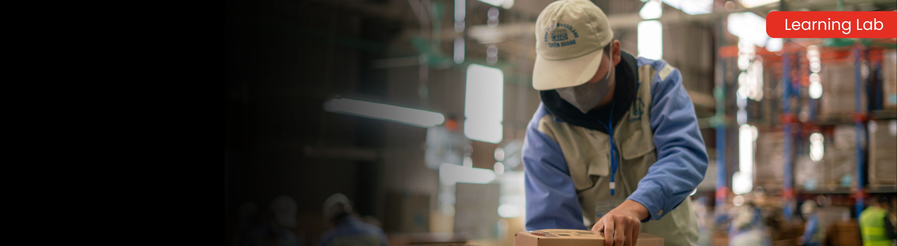 The Learning Lab Online Training Offering is Expanding