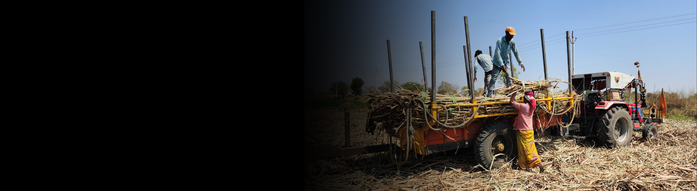 Registration Open for Free Training on Human Rights Due Diligence (HRDD) for Sugar Mills in India